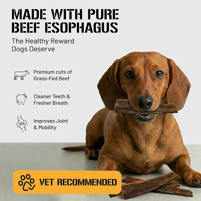 Dog Chits Beef Esophagus Chews for Dogs & Puppies - All Natural Single Ingredient - High Protein, Low Fat Beef Jerky Chew - Safe for All Breeds - Great for Joint - Dental Clean Crunch - 6 inch, 10 oz