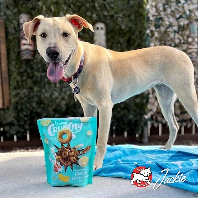 Fromm Crunchy Os Banana Kablammas Dog Treats - Premium Crunchy Dog Treats - Banana Recipe - 6 oz