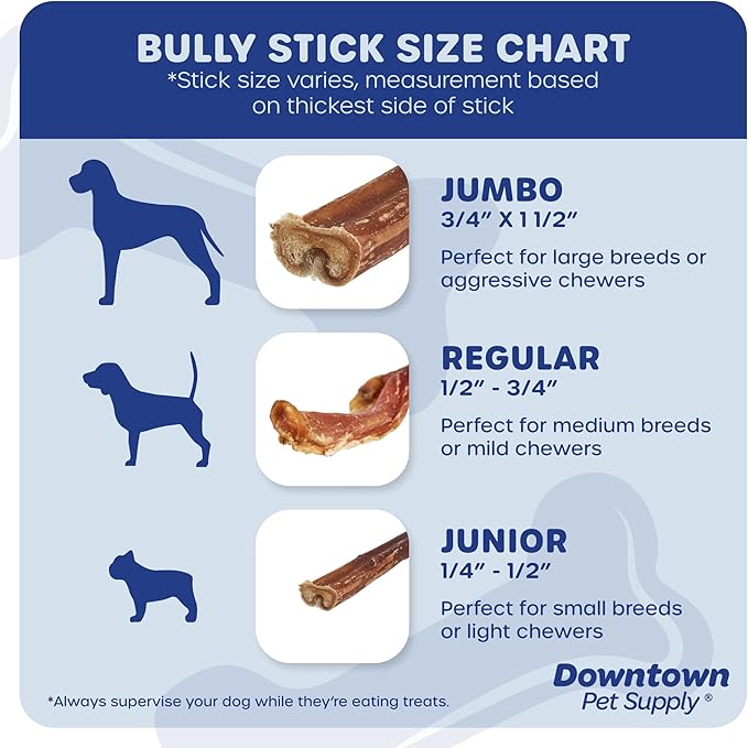 Downtown Pet Supply USA-Made 12", 1 Lb. Jumbo Bully Sticks for Large Dogs - Rawhide Free Dog Chews Long Lasting and Non-Splintering - Single Ingredient, Low Odor Bully Sticks for Medium Dogs