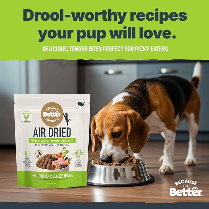 Because It’s Better Slow Baked & Air Dried Dog Food - Real Chicken & Veggies - Complete & Balanced Dry Dog Food - Grain Free, High Protein, Natural Nutrition for All Life Stages, 3 lb Bag
