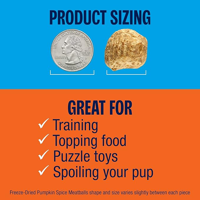 Muenster Freeze Dried Pumpkin Meatball Dog Treats 4 oz - Grain Free, Made in USA