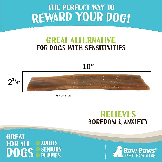 Raw Paws Camel Skin Chews for Dogs, 10-inch (10-Count) - Rawhide Free Dog Chew Long Lasting - Support Dog Anxiety Relief - Bully Stick Alternative