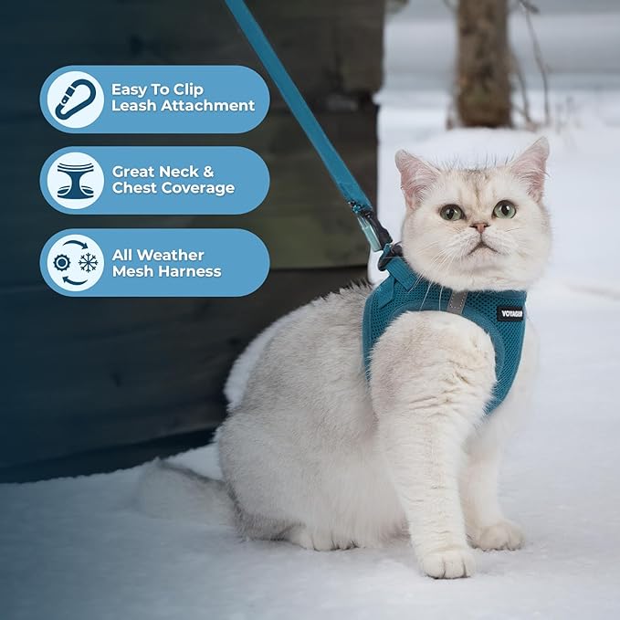 Voyager Step-in Pet Harness - All Weather Mesh, Adjustable Step in Harness for Cats and Dogs by Best Pet Supplies - 307S Turquoise, XXXS