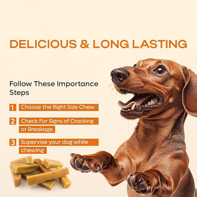 Premium Gold Yak Cheese Himalayan Dog Chews, Dog Treats for Dogs, All Natural, High Protein, for Aggressive Chewers - 1 LB Bag (Extra Large, 4 Pack)