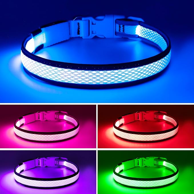 Flashseen LED Dog Collar, Light Up Dog Collar USB Rechargeable, Brightest Dog Lights for Night Walking, Adjustable Dog Collar Light for Dog Safety (Blue, Large)