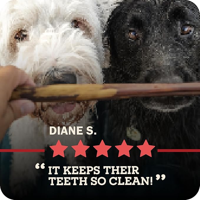 Redbarn Pet Products Odor Free 7" Bully Sticks for Dogs 35-Count