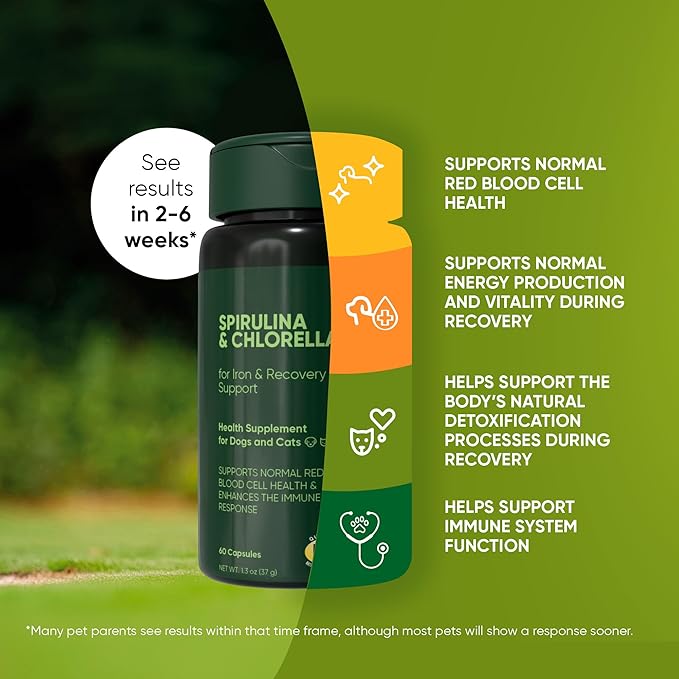 Rooted Owl Blood Support - Immunity, Recovery and Iron Supplement for Dogs & Cats - Anemia Support with Spirulina and Chlorella - 60/ct Vegan Capsules
