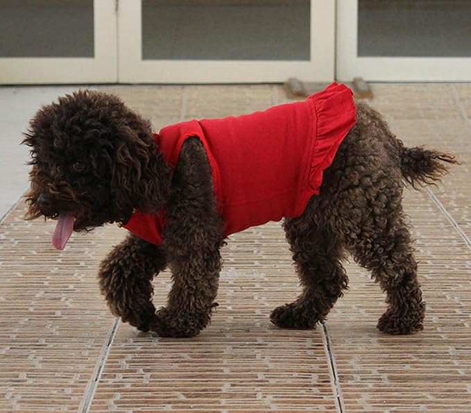 Pet Clothes Small Dog Clothing Blank Color Sport Dress T-Shirts Tee Dresses Tanks Top for Small Size Female Dogs Summer Spring Pet Costumes 100% Cotton (M, Red)