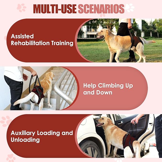 SlowTon Dog Lift Harness - Adjustable Dog Sling for Medium Large Dogs, Hind Leg Support to Help Rehabilitate, Soft Padded Dog Support Harness for Elderly, Injured, Arthritic, Disabled Dogs(R,L)