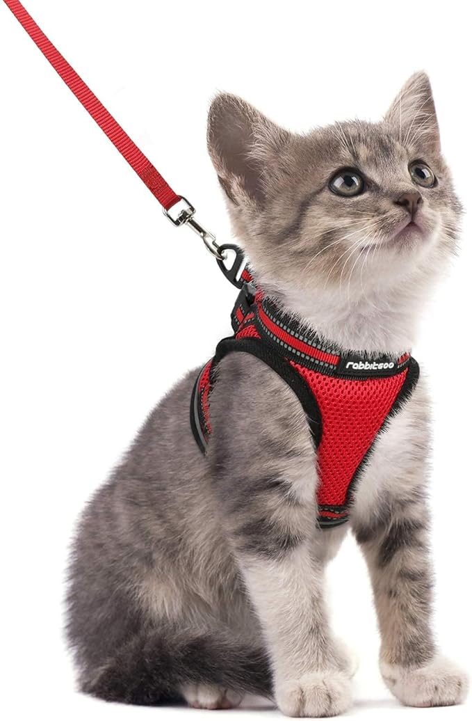 rabbitgoo Cat Harness and Leash Set for Walking Escape Proof, Adjustable Soft Kittens Vest with Reflective Strip for Cats, Comfortable Outdoor Vest, Red, S