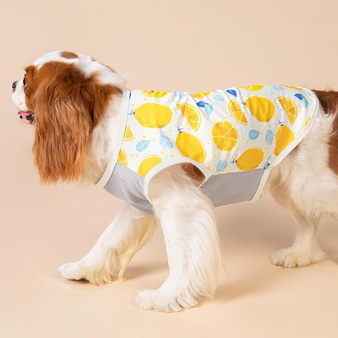 Fitwarm 2 Pack Ice Lemon UPF 50+ UV Sun Protection Dog Shirt, Lightweight Dog Cooling Vest, Quick Dry Summer Clothes for Small Dogs Boy Girl, Pet Outfit, Blue, Yellow, White, Large