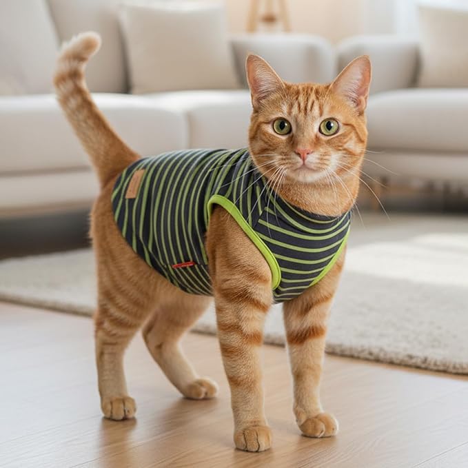 KYEESE 2Pack Cat Sweater Warm Pet Coats Soft Dog Puppy Sweaters for Small Dogs Turtleneck Small Pets Sweaters Stretchy Dogs Clothes Pullover Pet Sweatshirt