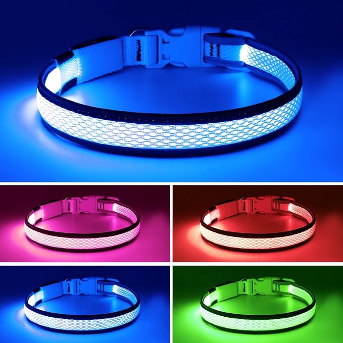 Flashseen LED Dog Collar, Light Up Dog Collar USB Rechargeable, Brightest Dog Lights for Night Walking, Adjustable Dog Collar Light for Dog Safety (Blue, Medium)