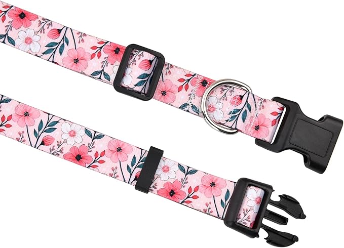 Floral Dog Collar, Adjustable Soft Nylon Pet Collar for Small Medium Large Dogs, Cute Flower Pattern Dog Collar for Girl Boy Dogs(Blush Vine,XS)