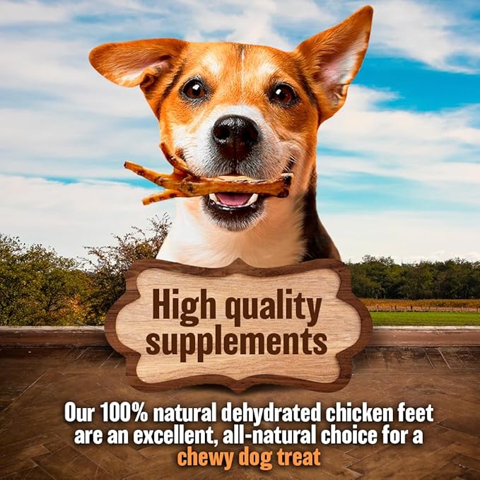 Dehydrated Chicken Feet for Dogs - Single Ingredient Dog Chews - Made in USA - 100% Digestible Chicken Foot Treats - Natural Dog Treats - Dried Chickens Treat for Dogs - 24 Count