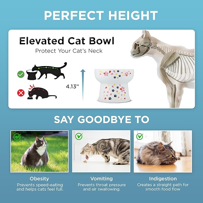 Necoichi Elevated Cat Water Bowl – Ceramic Raised Cat Bowl, Prevents Neck & Whisker Fatigue – Dishwasher & Microwave Safe – Pet Water Bowl for Cats (Sakura Floral, Extra Tall)