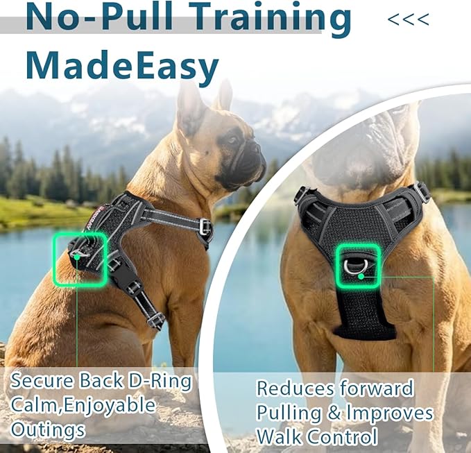 BARKBAY Dog Harness No Pull with ID Tag Pocket - Heavy Duty, Reflective, Easy Control for Large Dogs(Black,M)