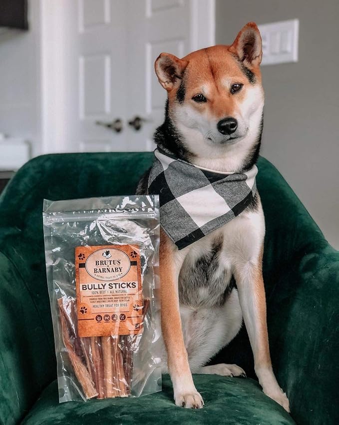 BRUTUS & BARNABY 6 Inch Bully Sticks for Dogs (12 Count) - Natural Grass-Fed Beef Chew Sticks, Odor Free, Single Ingredient, Fully Digestible, Rawhide Free - for Small, Medium & Large Dogs