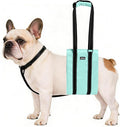 AIITLE Dog Slings for Small Dogs - Adjustable Reflective Dog Lift Harness with Anti-Slip Collar for Senior Dogs, Hind Leg Weakness, Hip Dysplasia, ACL Surgery (Turquoise, S)