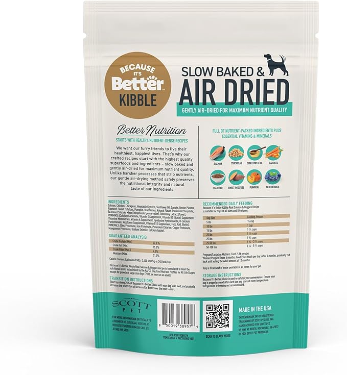 Because It’s Better Slow Baked & Air Dried Dog Food - Real Salmon & Veggies - Complete & Balanced Dry Dog Food - Grain Free, High Protein, Natural Nutrition for All Life Stages, 1 lb Bag