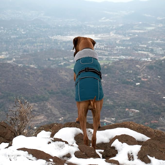 Lelepet Warm Dog Coats for Large Dogs Waterproof Dog Winter Jacket Reflective Pet Fleece Vest Windproof Cold Weather Coats with Adjustable Buckle & Leash Hole, Dark Green, XXL