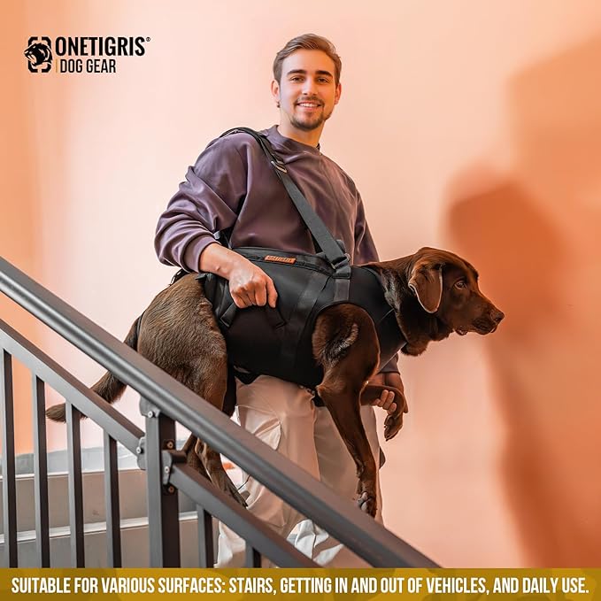 OneTigris Full Body Dog Carry Sling for Large Dogs, Dog Lift Harness Backpack Carrier with Handles, for Senior Dogs, Joint Injuries, Up and Down Stairs (Black, M)