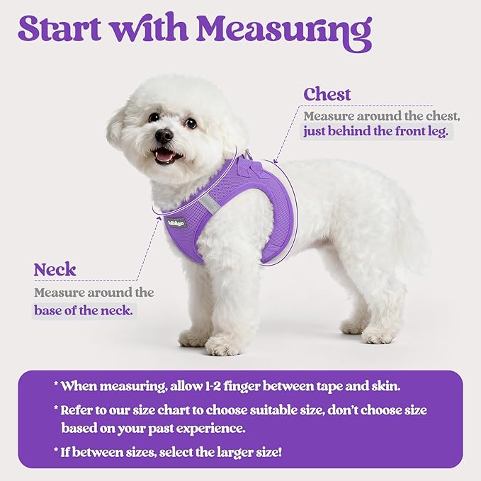rabbitgoo Dog Harness Small Sized and Leash Set, Step in Soft Light Puppy Vest, Breathable Mesh Pet Harness, Reflective for Safe Outdoor Walking, Purple XXS
