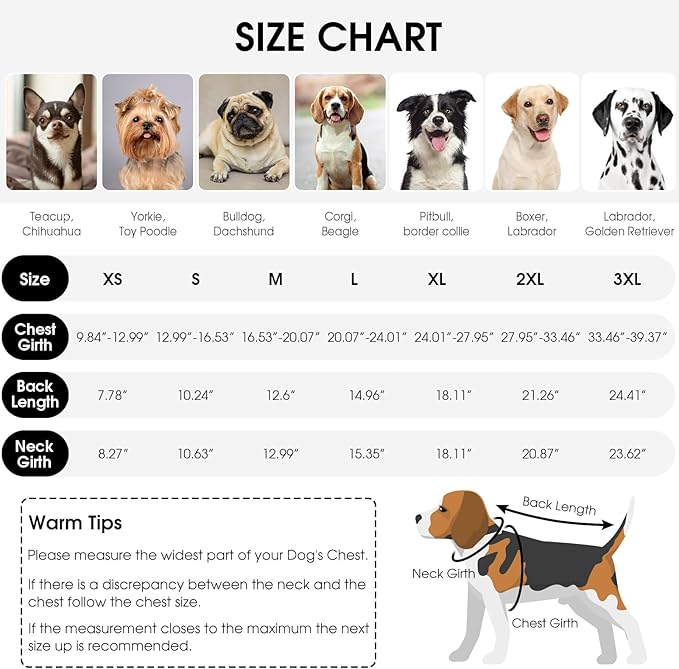Queenmore Recovery Suit for Dogs Cats After Surgery,Dog Surgical Recovery Suit Onesie,Anti Licking Pet Female Post-Operative Spayed Neutered Puppy Surgical Clothes for Abdominal Wounds, Grey
