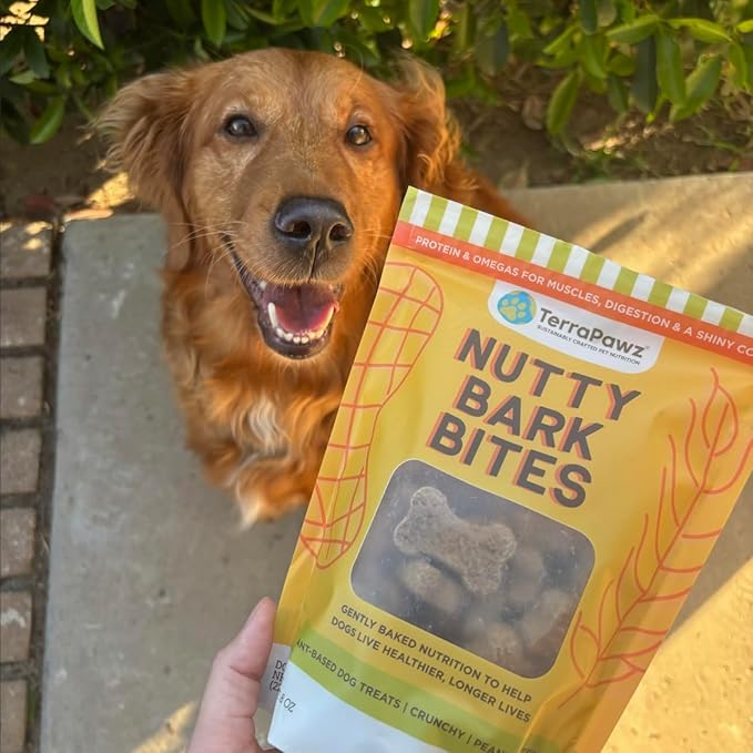 TerraPawz Vegan Dog Training Treats – Peanut Butter Flavor, Plant-Based Nutty Bark Bites with Chia & Flaxseed for Skin & Coat, Omega-Rich Treats for All Dog Sizes Including Large Breeds (8 oz)