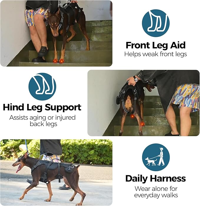 BINGPET Dog Lift Harness for Large Dogs,Full Body Support Rehabilitation Dog Sling Carrier with Handles,Reflective Multifunctional Mobility Assistance Vest for Senior Pets Joint Injuries,Arthritis,L