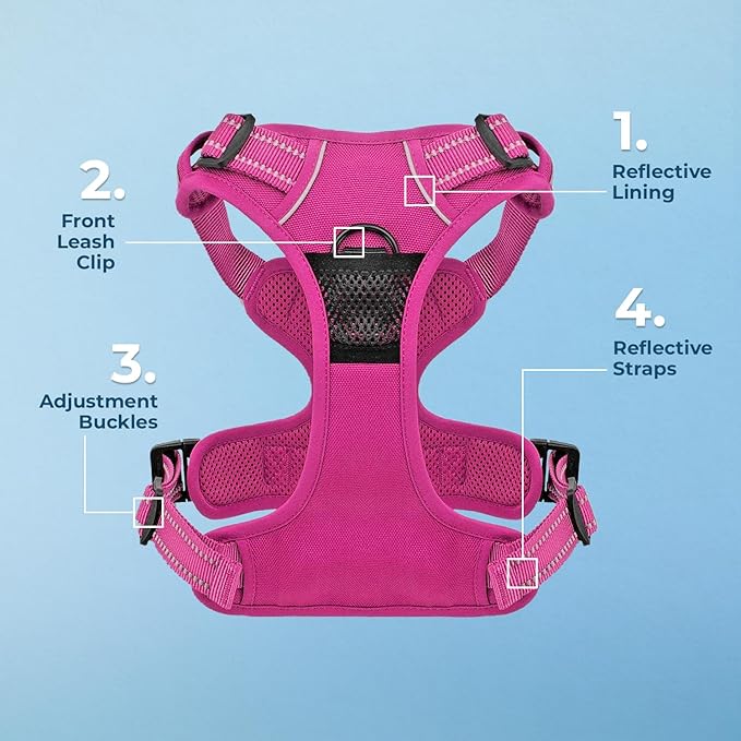 Voyager Dog Harness Dual Leash Attachment No-Pull Control Adjustable Soft but Strong Pet Harness for Medium and Large Dogs with 3M Reflective Technology, Fuchsia Nylon, XS (Chest: 13-16")