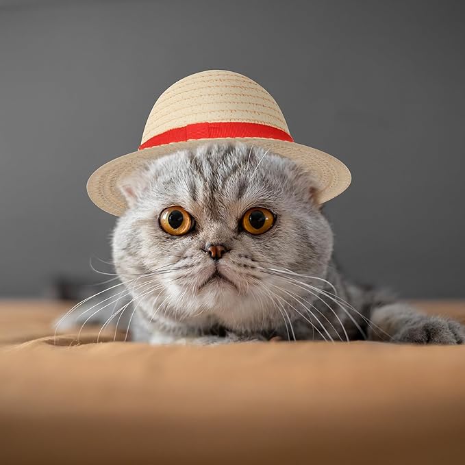 Beautyflier Pet Straw Hat Party Decorations Halloween Cosplay Cap Puppy Pet Dog Cat Holiday Costume for Small Dog Cat (Beige)