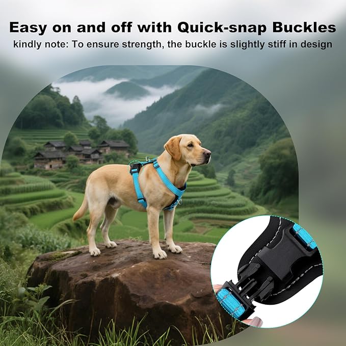Plutus Pet Adjustable No Pull Dog Harness with Leather Accents, Heavy Duty Reflective Nylon Vest for Training, Hiking, Easy Walk Harness for Small, Medium, Large Dogs (Light Blue, M)