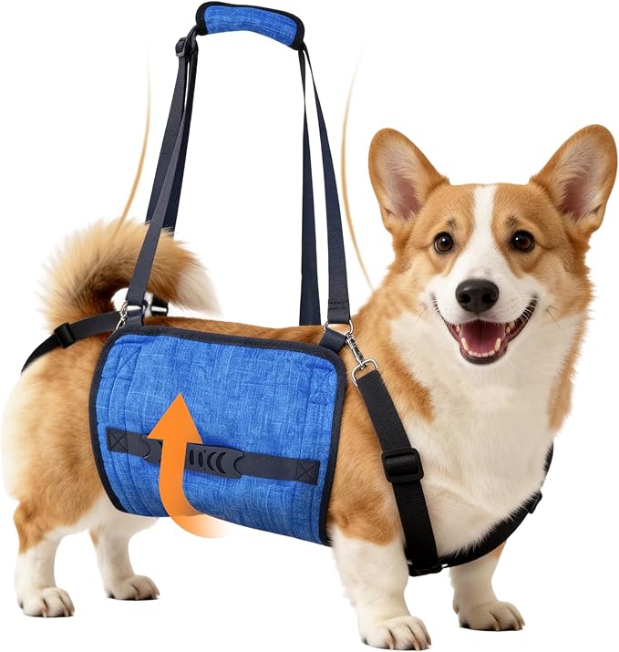 Dog Lift Harness for Large Dogs, Dog Sling Carrier with Lifting Handle for Mobility Assistance, Senior Dogs with Arthritis, Hip Dysplasia & Post-Surgery Recovery, L