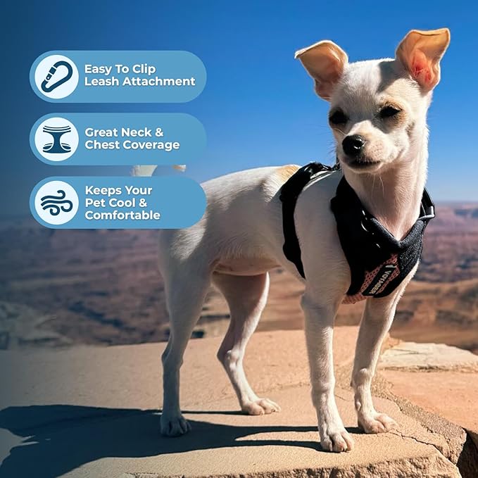 Best Pet Supplies Voyager Step-in Lock Pet Harness w Reflective Pet Leash Combo Set with Neoprene Handle 5ft - Supports Small, Medium and Large Breed Puppies/Cats - Pink/Black Trim, S