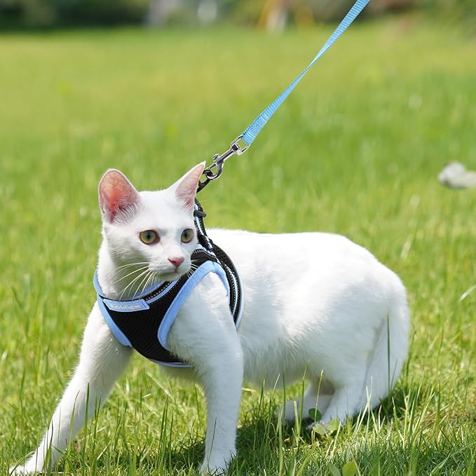rabbitgoo Cat Harness and Leash Set for Walking Escape Proof, Adjustable Soft Kittens Vest with Reflective Strip for Cats, Comfortable Outdoor Vest, Black & Light Blue, M