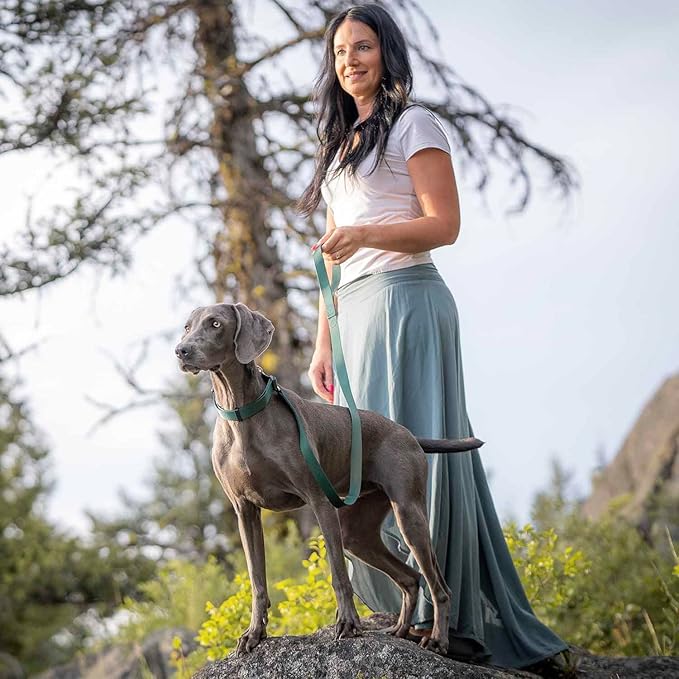 Blueberry Pet Essentials Matching Dog Collar and Leash Set in Verdant Green, Adjustable Classic Solid Color Nylon Collar with 4 ft Leash for Large Dogs