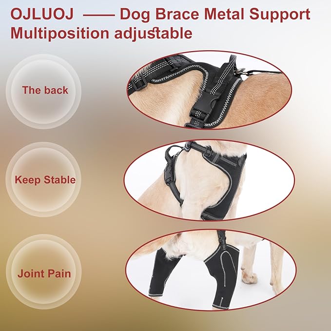 Dog Hip Knee Metal Hip Brace Support Adjustable Length with Traction Rope Weared on Front & Back Leg Puppy M Sizes Dogs Pet Relieve Joint Pain Surgery Aid Recovery Relieve ACL/CCL Pain