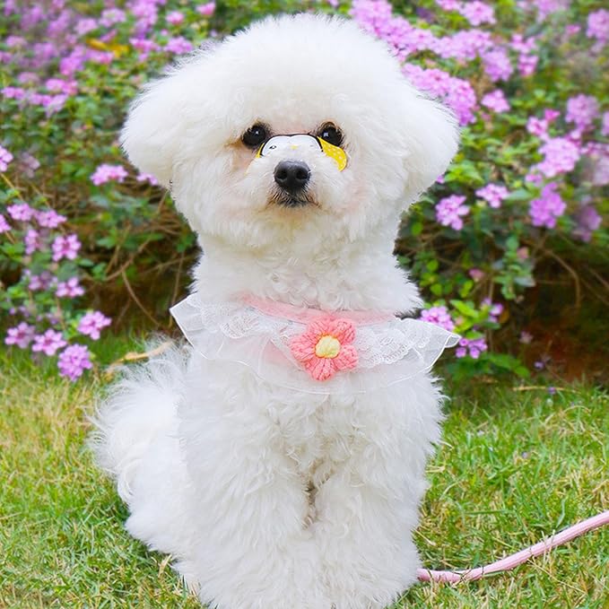 Cat Harness Collar and Leash Set, Sweet Lace Floral Kitten Collar, Escape Proof Puppy Chest Harness, Adjustable Cute Harness Leash Set for Cat Puppy Dog Outdoor Walking (Pink, S)