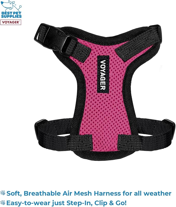 Best Pet Supplies Voyager Step-in Lock Pet Harness w Reflective Pet Leash Combo Set with Neoprene Handle 5ft - Supports Small, Medium and Large Breed Puppies/Cats - Fuchsia/Black Trim, XXS
