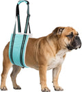 AIITLE Dog Slings for Small Dogs - Adjustable Hind Leg & Hip Support Harness, Plush Rehab Lift Aid with Reflective Straps, Assist Elderly/Injured/Post-Surgery Dogs with Mobility Issues (Turquoise, S)