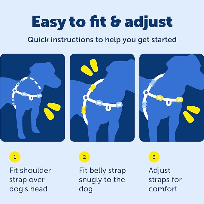 PetSafe Easy Walk Harness for Dogs - Pull-Free Walks - Patented Martingale Loop Design - Front Chest Leash Attachment - Comfort Straps - Breathable Harness Design - Small/Medium, Charcoal/Black