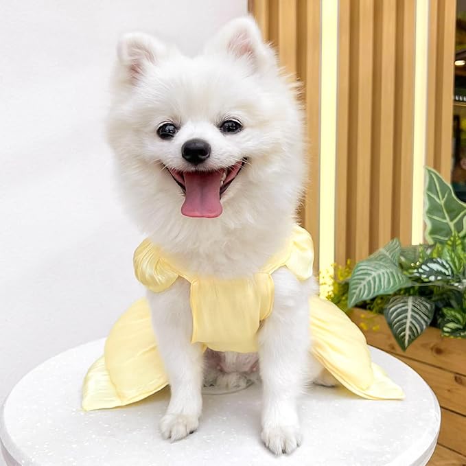 Dog Dress for Small Girl Dogs Cat Dresses for Cats Only Pink Pet Dresses with Bow Decor Cute Summer Girl Dog Skirts,Sleeveless Small Chihuahua Yorkie Clothes (Yellow, XL（for 12-16 lbs）)