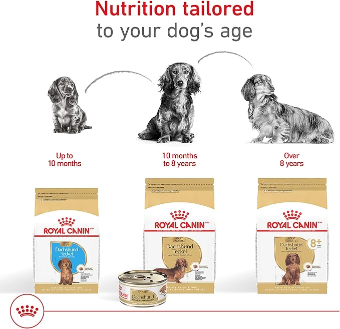 Royal Canin Breed Health Nutrition Dachshund Adult Dry Dog Food, 2.5 lb Bag
