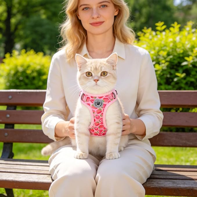 BEAUTYZOO Cat Harness and Leash Set for Walking Escape Proof, Neck Release Adjustable Harness for Kitten Puppy Small Medium Large Cats, Soft Cute Easy Control Small Cat Harness for Cats Boy and Girls