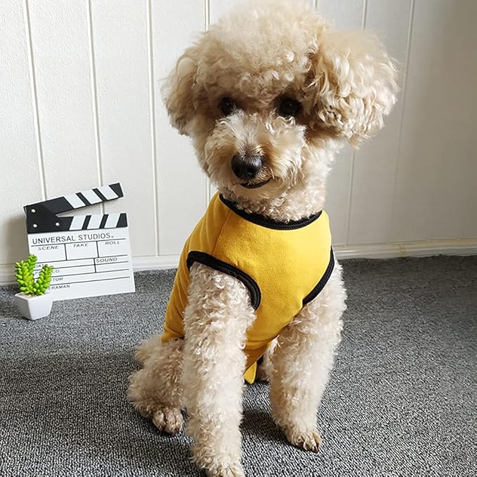 Dog’s Recovery Suit Post Surgery Shirt for Puppy, Wound Protective Clothes for Little Animals(Yellow-XXS)