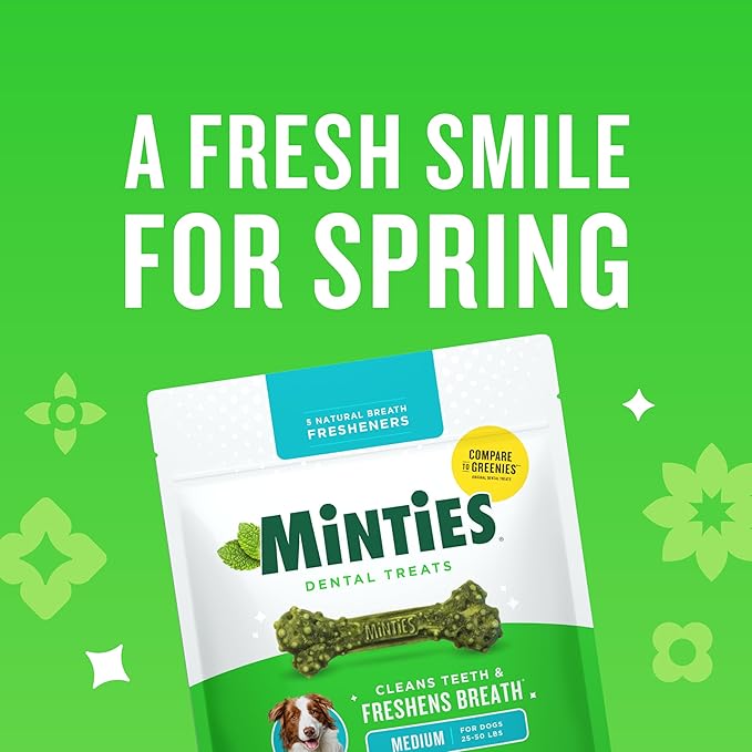 Minties Dog Dental Bone Treats, Dental Chews for Dogs 25-50 lbs, 60 Count, Brushing Chews Helps Clean Teeth and Freshen Bad Breath, Removes Plaque and Tartar, Veterinarian Recommended