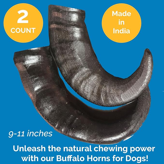 123 Treats Buffalo Horns for Dogs – (2 Count), Large 9-11 inches, Long Lasting Dog Treats for Aggressive Chewers, 100% Natural, Rich in Protein & Low in Fat, Support Dental Health