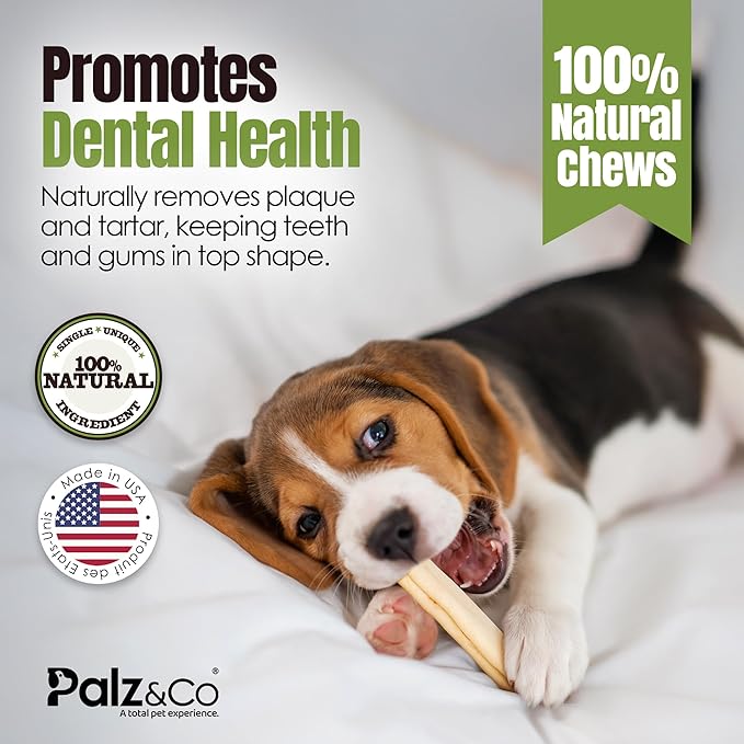 Palz&Co Moodog Beef Corium Collagen Roll 5" Oat Flavor with Pre/Pro-Biotics, 2 Pack - 100% Natural Dog Treat, Supports Gut Health, Made in USA, Crunchy & Chewy
