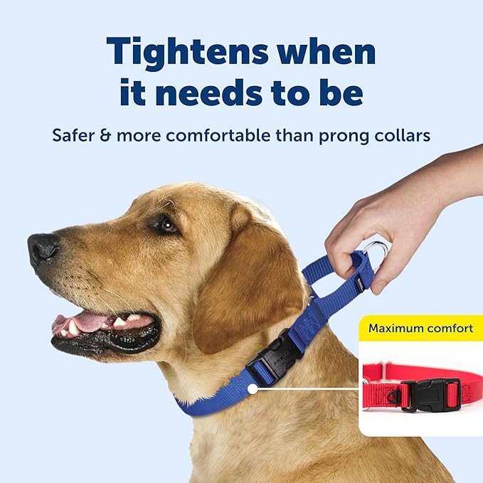 PetSafe Martingale Collar with Quick Snap Buckle - Adjustable No-Slip Design for Better Leash Control - Durable Nylon Material - Humane Gentle Correction for Safer Training - Small - Raspberry Pink